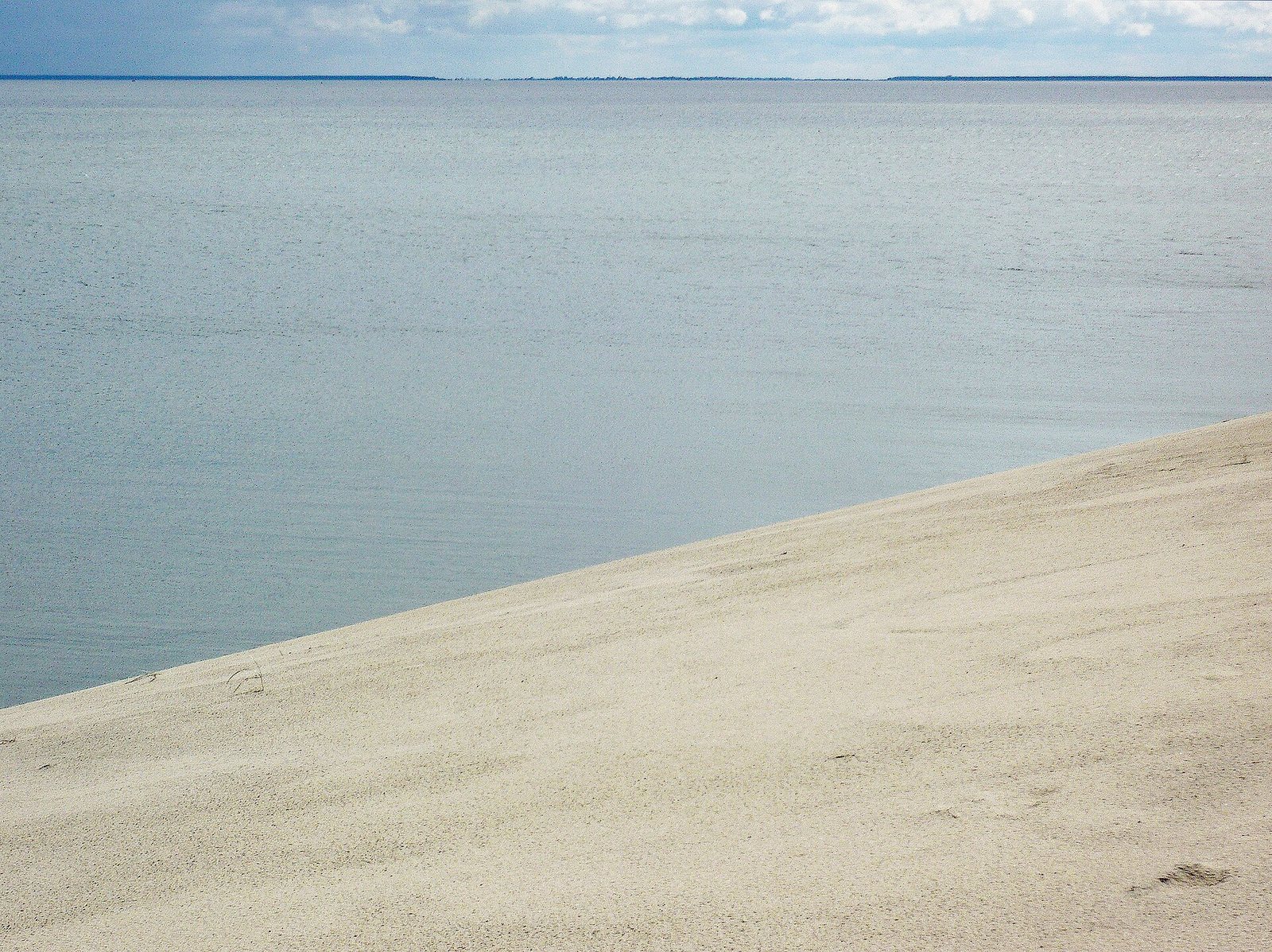 Die Aestier: Gold der Ostsee