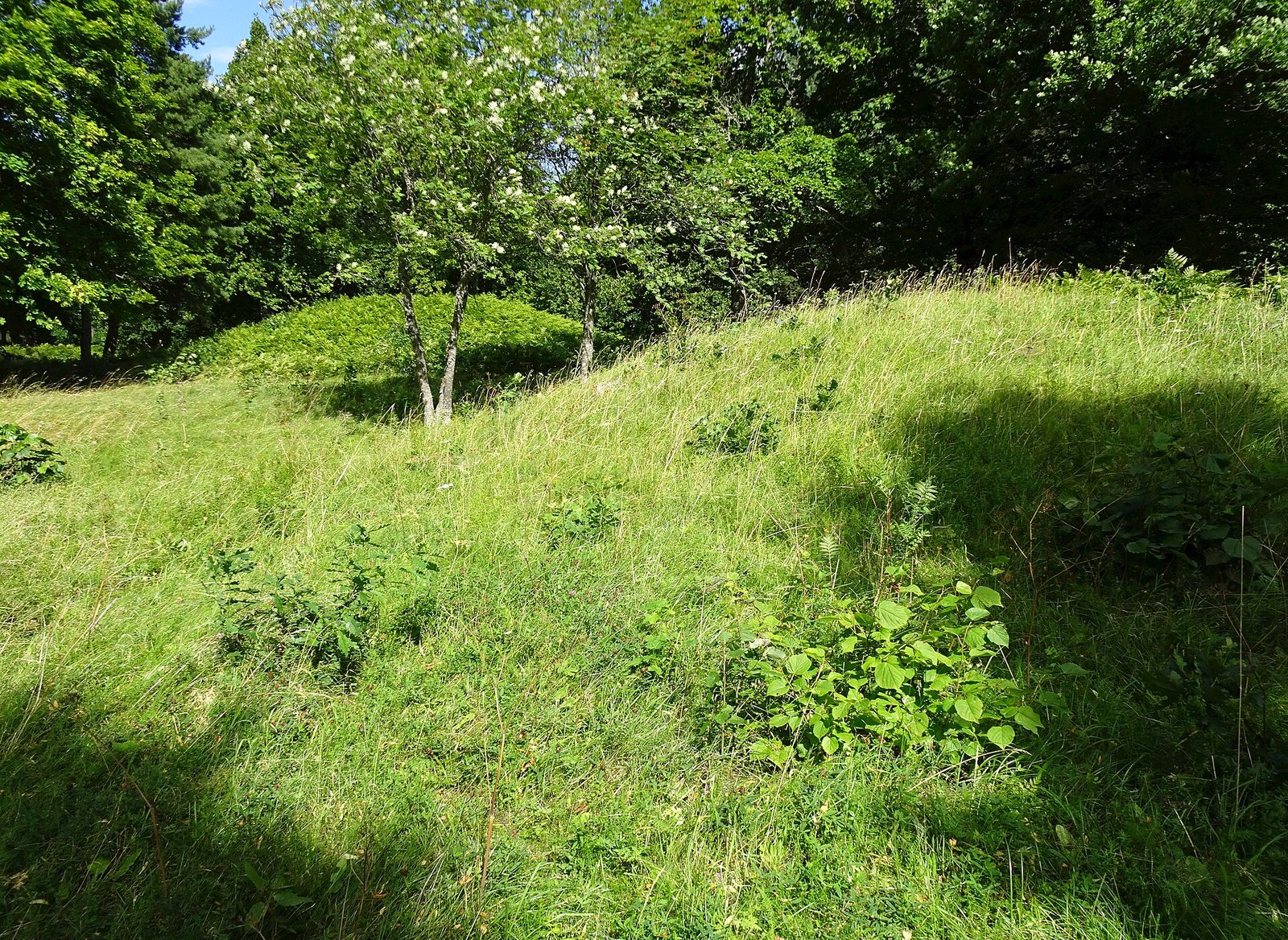 Björn Eisenseite – vom Seine-Wikinger der Annalen zum Sagakönig von Uppsala