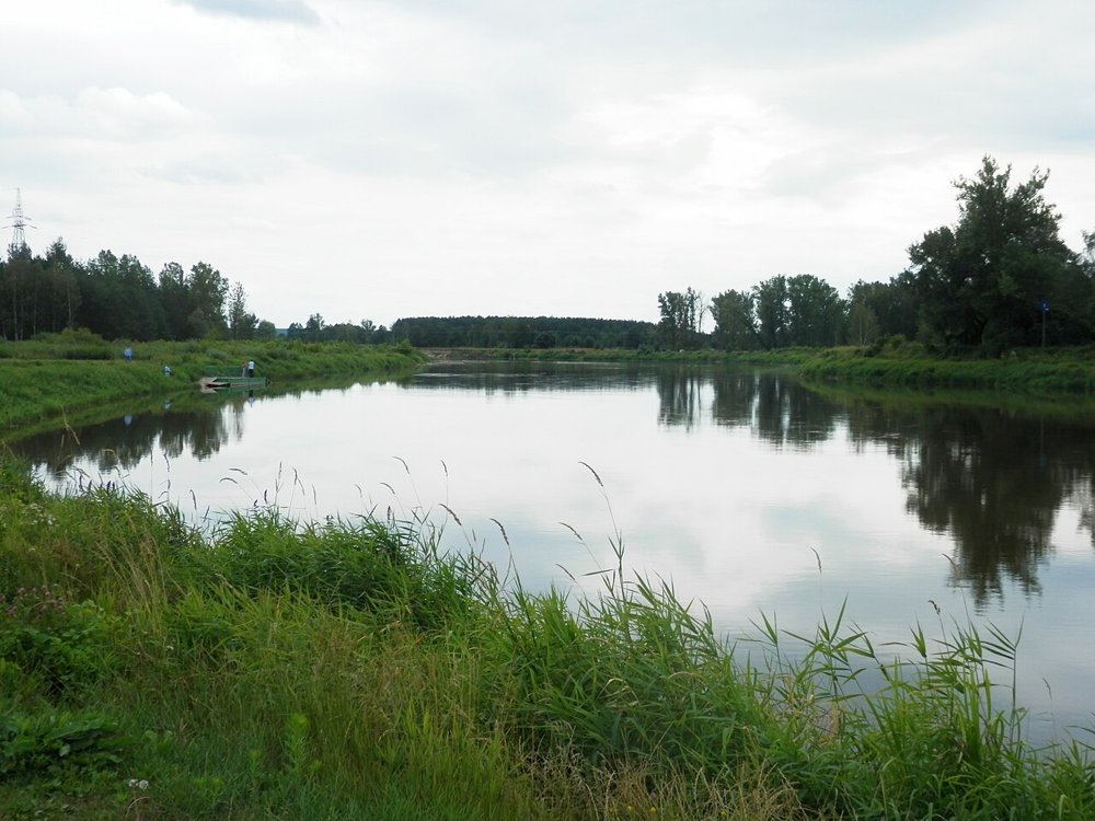 Der Fluss Bug bei Drohiczyn mit Uferwiesen und Wald