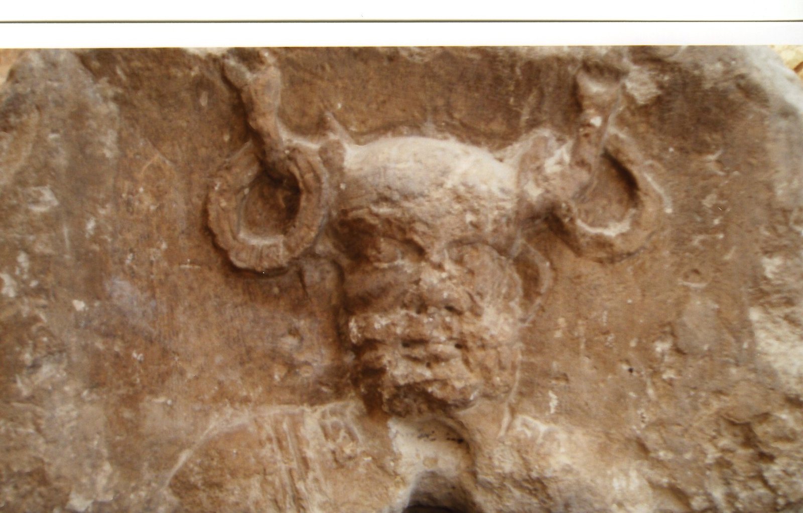 Cernunnos: Der gehörnte Herr der Tiere