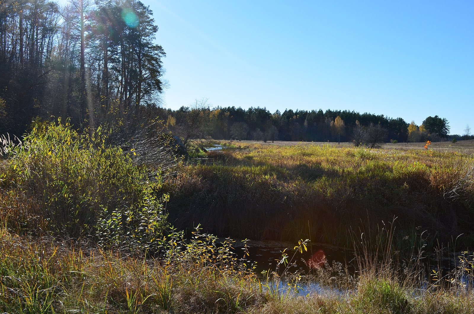 Die Drewlanen: Igors Tod und Olgas Rache