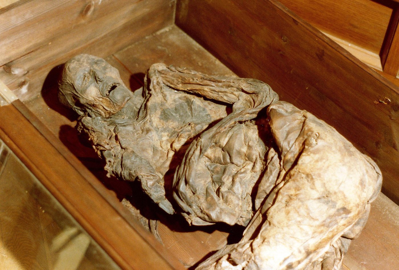 Die Frau von Huldremose im Nationalmuseum Kopenhagen. Ihre Kleidung aus Schaffell und Wolle gehört zu den besten Quellen für die Frauentracht der Eisenzeit im N