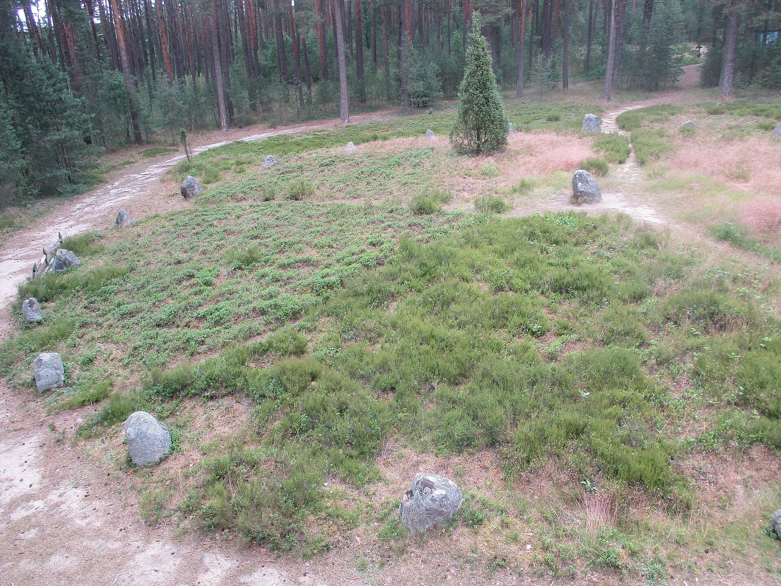 Die Gutonen: Am Anfang der Goten