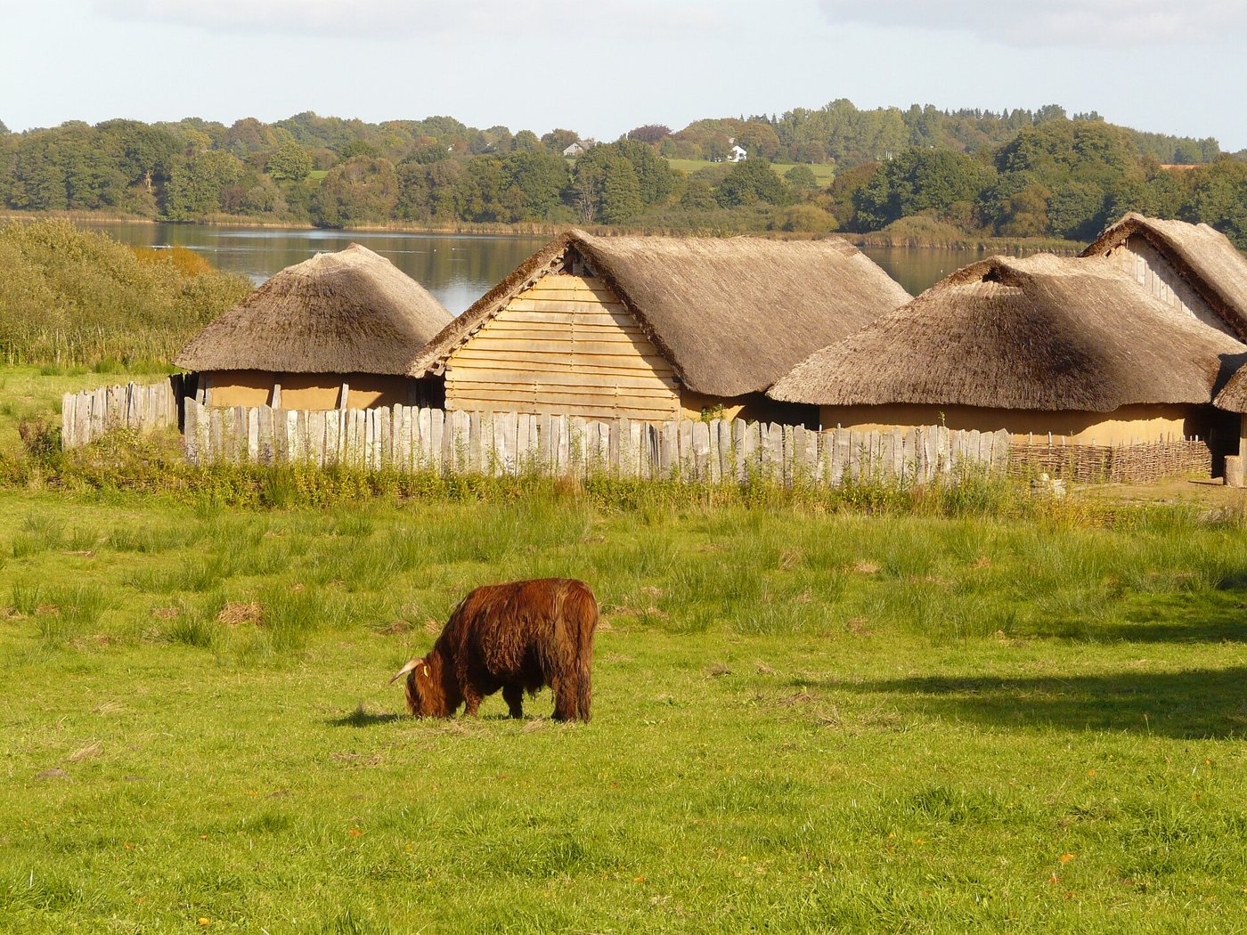 Ibrāhīm ibn Yaʿqūb: What a Traveller from Spain Saw in Hedeby