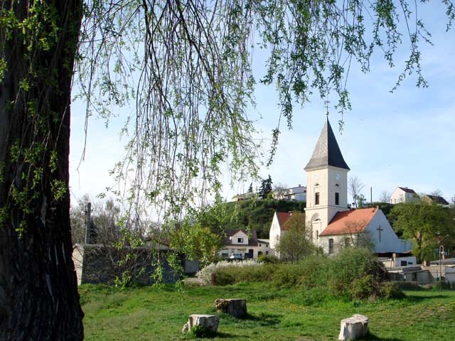 Blick auf Lebus an der Oder mit Kirche vor dem Hang des Burgbergs