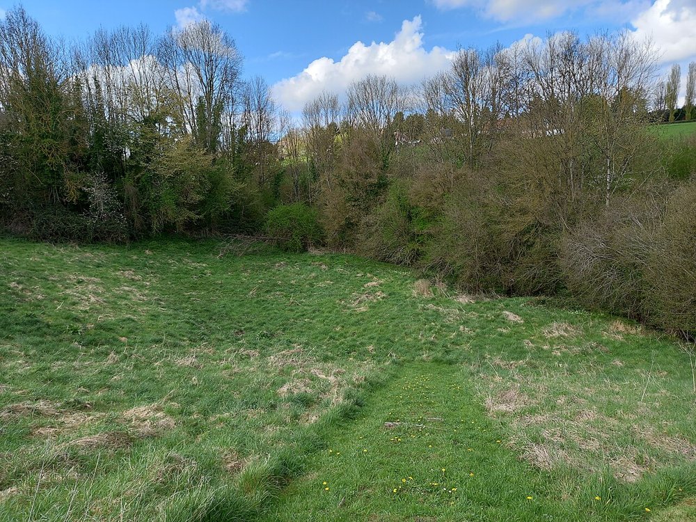 Grasbewachsene Mulde der Zuschauerränge des römischen Theaters von Lisieux unter Gebüsch