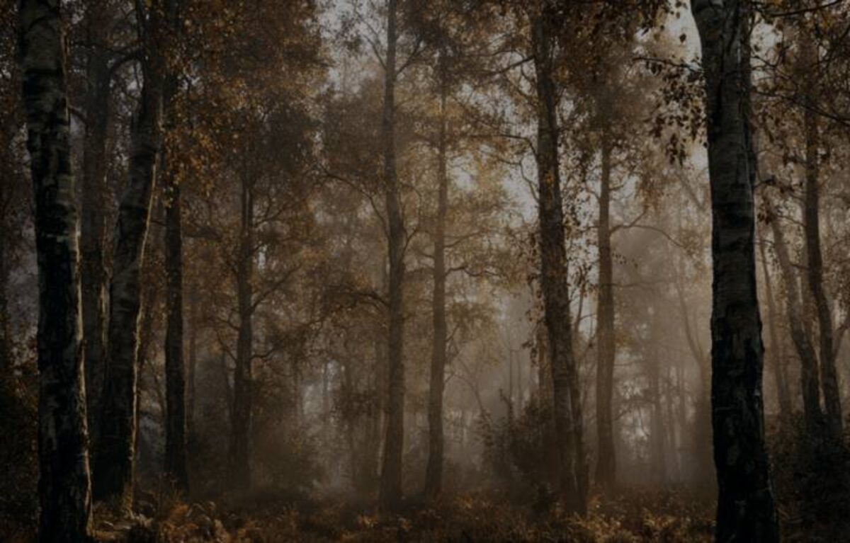The Runes – more than mysterious signs