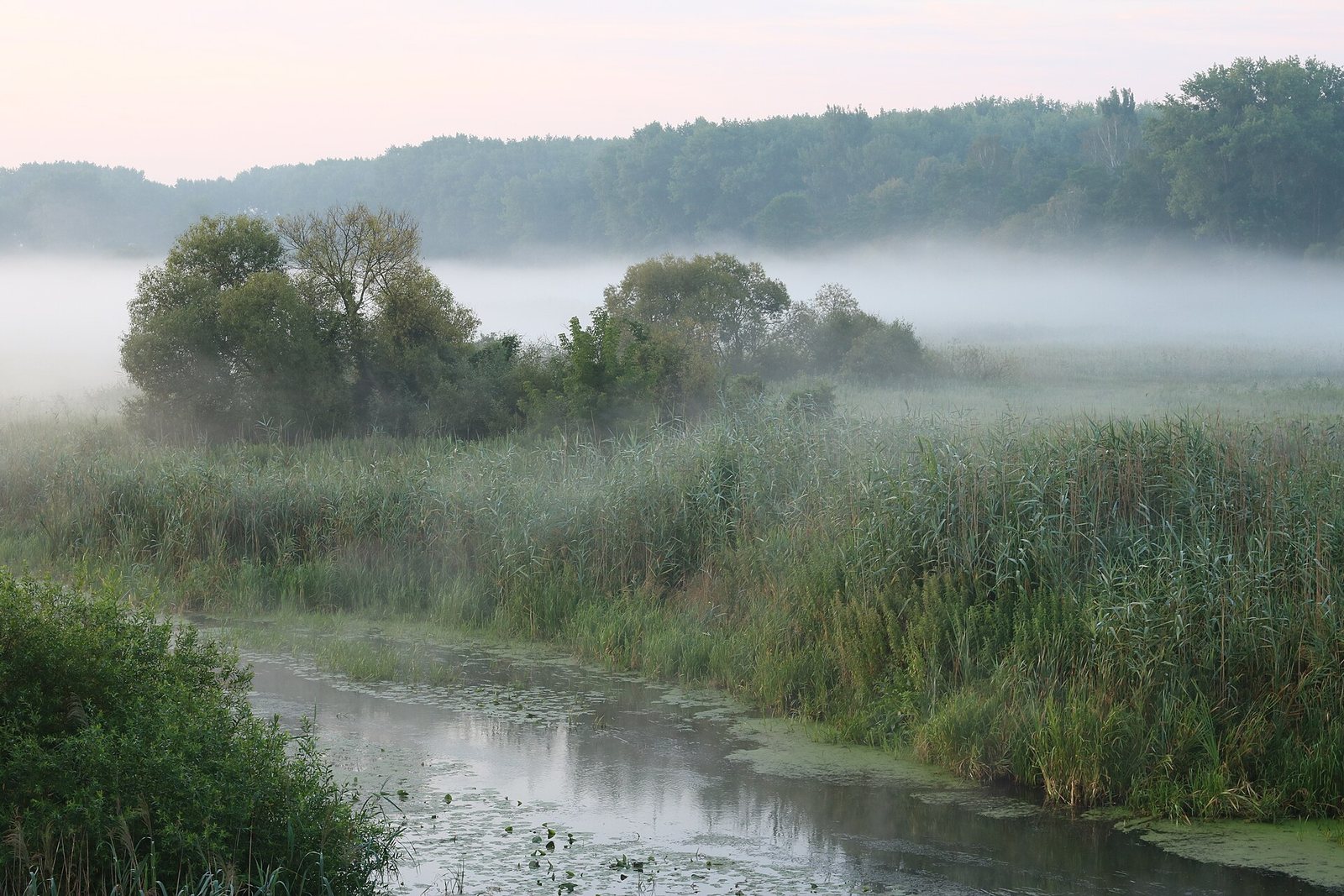 Die Sewerjanen: Ostslawen an der Desna