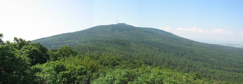 Waldbedeckter Bergrücken des Ślęża mit Sendemast, Panorama