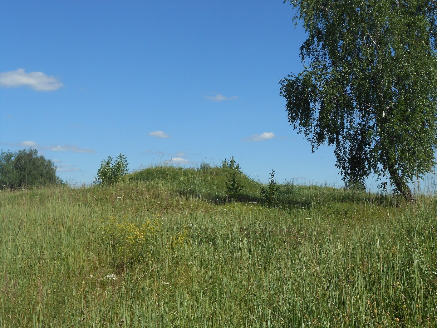 Grabhügel der Zentralgruppe von Gnjosdowo im Gras