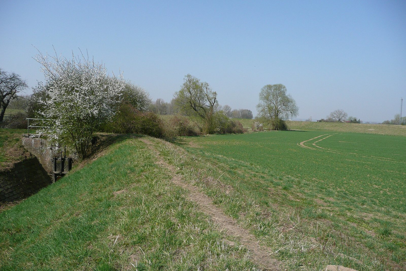 Die Vangionen: Wächter am Rhein um Worms
