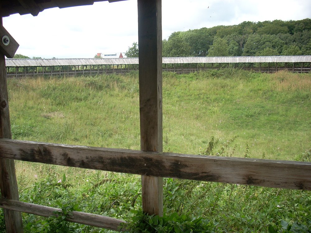 Die Warnower: Slawen an der Warnow und ein Name, der mehr verspricht als die Quellen halten