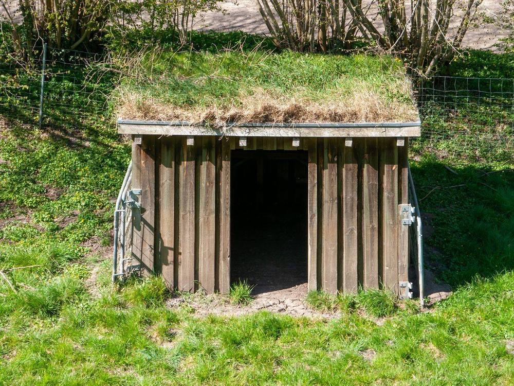 Das Gelände von Haithabu mit dem Halbkreiswall