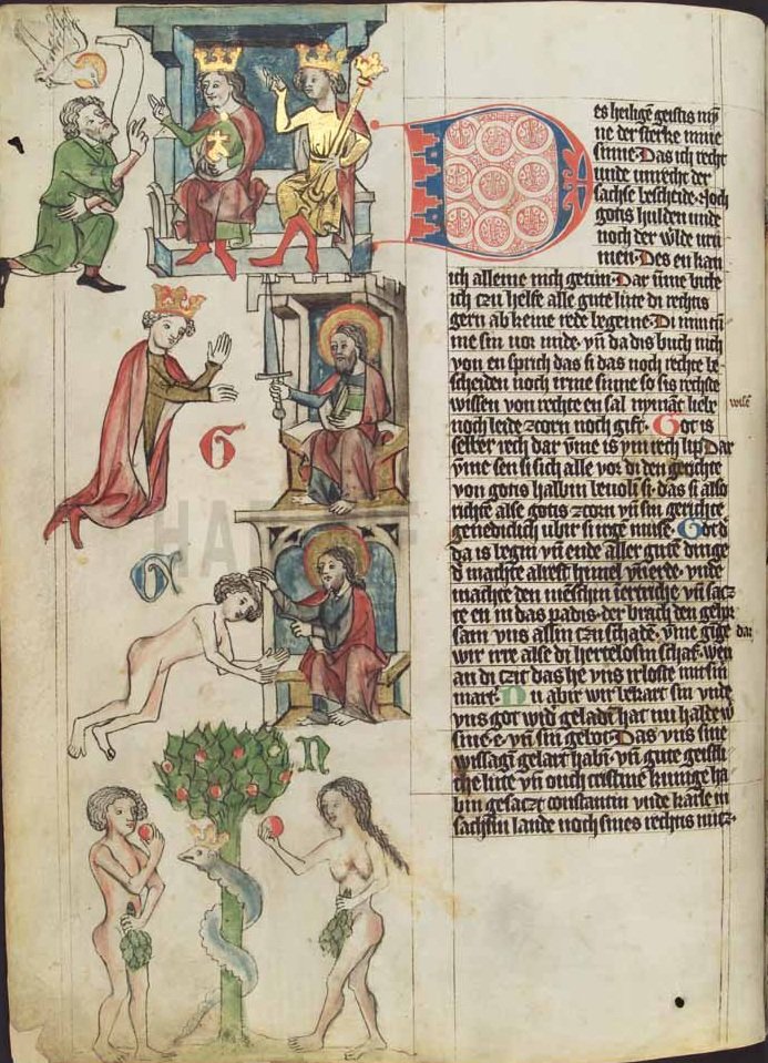 Bilderhandschrift des Sachsenspiegels (Wolfenbüttel, um 1350) — ein spätmittelalterliches Rechtsbuch, kein wikingerzeitliches Gesetz.