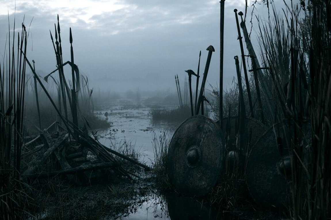 A northern bog in cool morning light