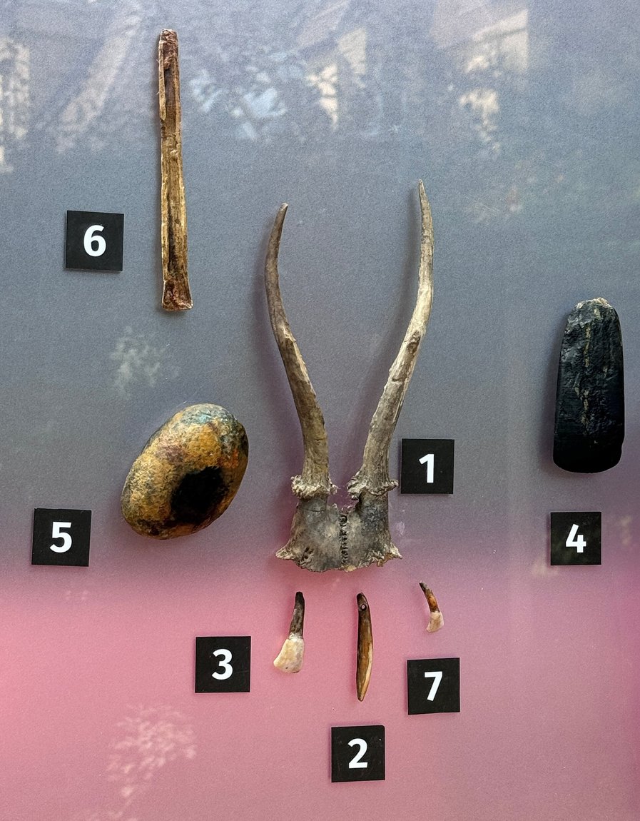Grabbeigaben aus Bad Dürrenberg: Geweih-Stirnschmuck, Tierzähne, Knochen und Stein