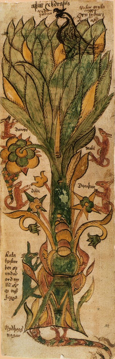 Yggdrasil mit Adler in der Krone
